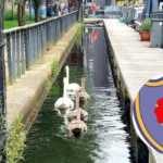 Ancoats Crowned Manchester's Top Living Spot in 2025