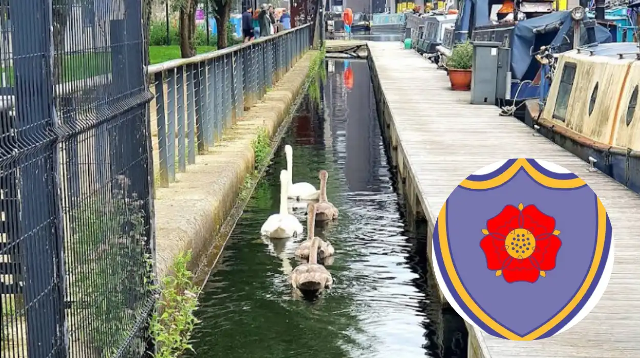 Ancoats Crowned Manchester's Top Living Spot in 2025