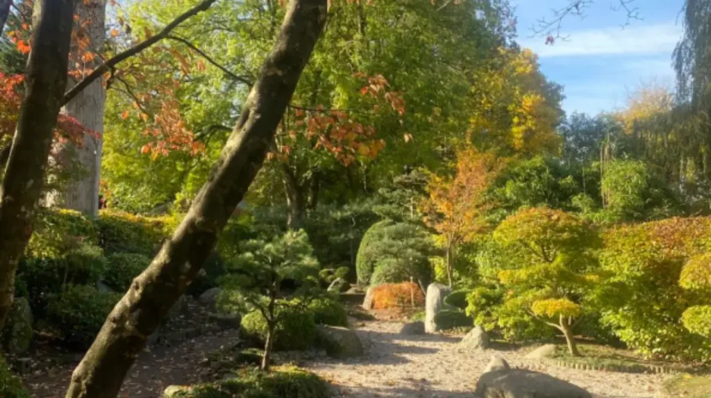 Altrincham High Street: A Blueprint for the Future of Britain's High Streets