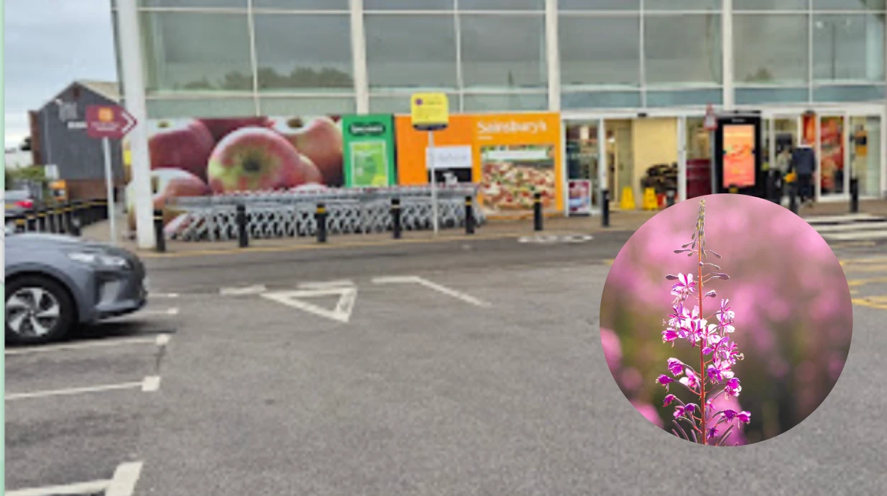 Sally Beauty to Close in Bolton Town Centre Today