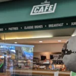 Suspected 'knifeman' arrested at Harwood Morrisons after emergency workers attacked