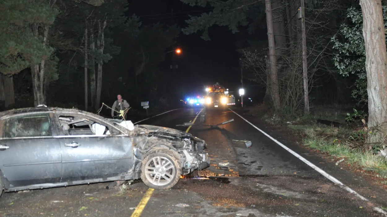 Washington County Driver Crashes Tree, Flees with Beer