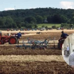 Beautifully Presented Stable Conversion Hits Market in Somerset