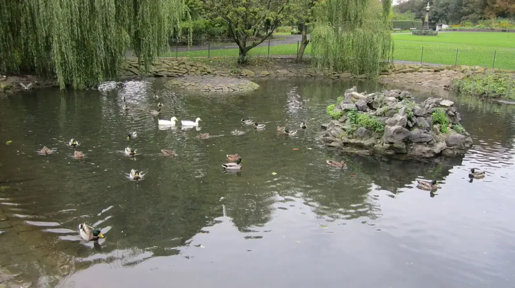 Noise and Antisocial Behaviour in Altrincham: Causes, Impacts