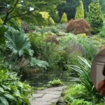 Didsbury's Fletcher Moss Gorgeous Winter Views and Pub Stop