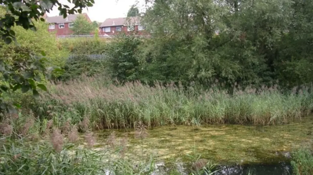 Fly-Tipping Crisis in Clayton : Why  Bins Are Essential 