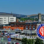 Man Sought After Punching Dog in Head Sparks Public Outrage