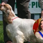 Princess Kate's New Family Puppy Orla's Companion at Home