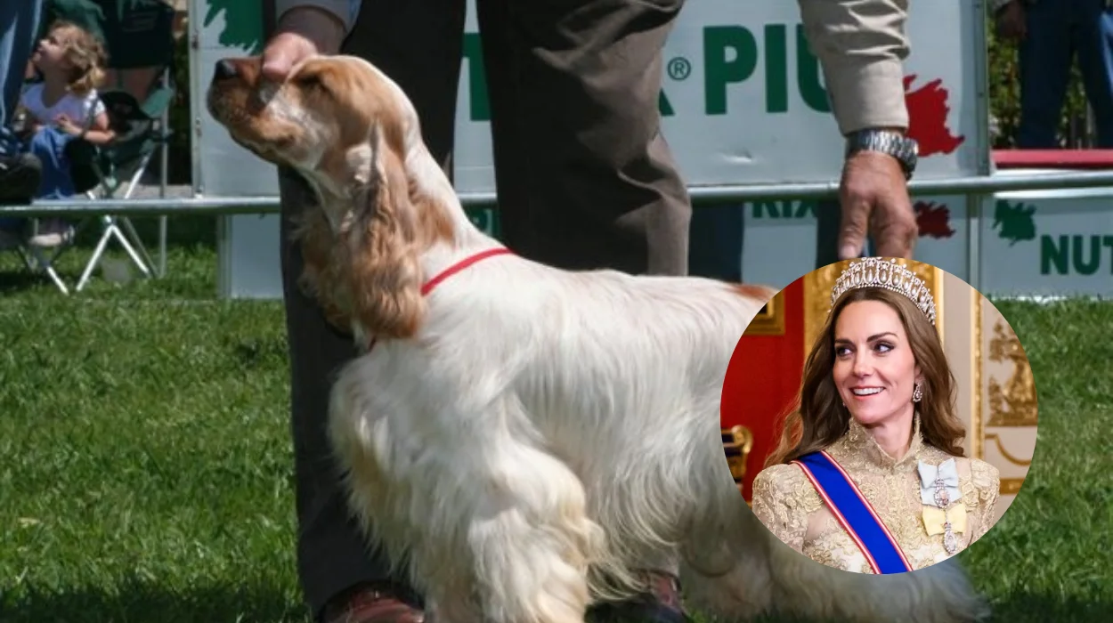 Princess Kate's New Family Puppy Orla's Companion at Home