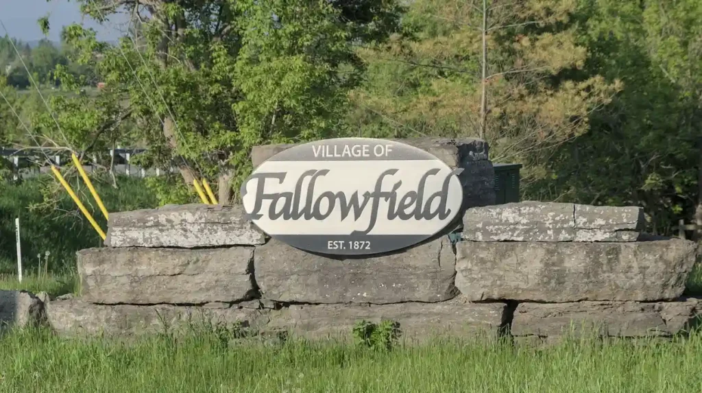 Fallowfield Issues: Challenges in Manchester's Vibrant Suburb