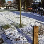 Reviving Chorlton Precinct Community Plans for Affordable Homes and Vibrant Shops