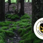 Tigers' Moss Emerges as Key Blue Line Asset in 2026