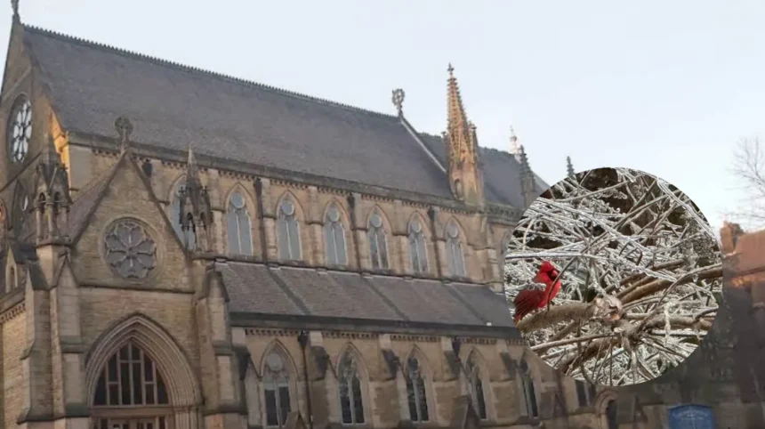 Hendersonville Boring Co. Utility Deal Hope, Bury 2026