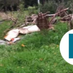 Massive Eid Event Axed Rain Heaton Park, Manchester 2026