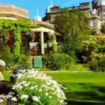 Moss Side Community Gardens Transforming Manchester's Urban Oasis