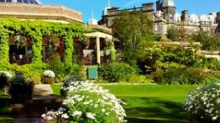 Moss Side Community Gardens Transforming Manchester's Urban Oasis