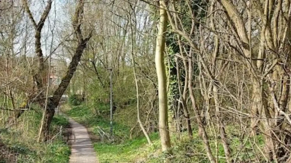 Gorton's Hidden Struggles: Decline in Manchester's 