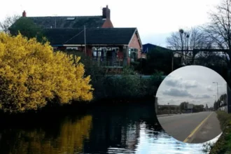 Tree Maintenance Delays Roads, Clayton 2026