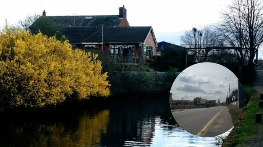 Tree Maintenance Delays Roads, Clayton 2026