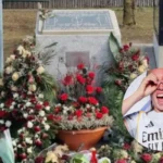 Women's UCL United vs Bayern Stats Live, Manchester