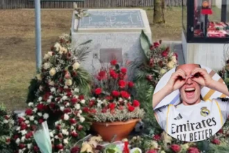 Women's UCL United vs Bayern Stats Live, Manchester