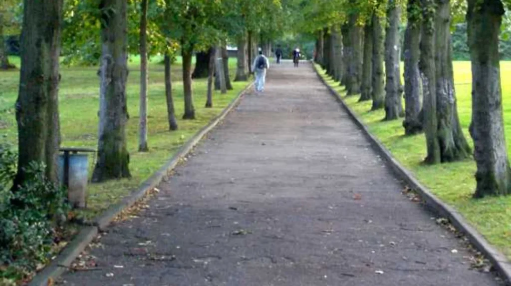 Moss Side Housing Issues: Causes, History, and What Residents Face