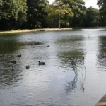 Anti‑social behaviour in Middleton parks
