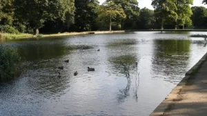 Anti‑social behaviour in Middleton parks