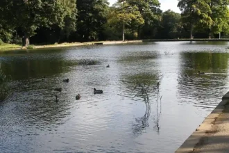 Anti‑social behaviour in Middleton parks