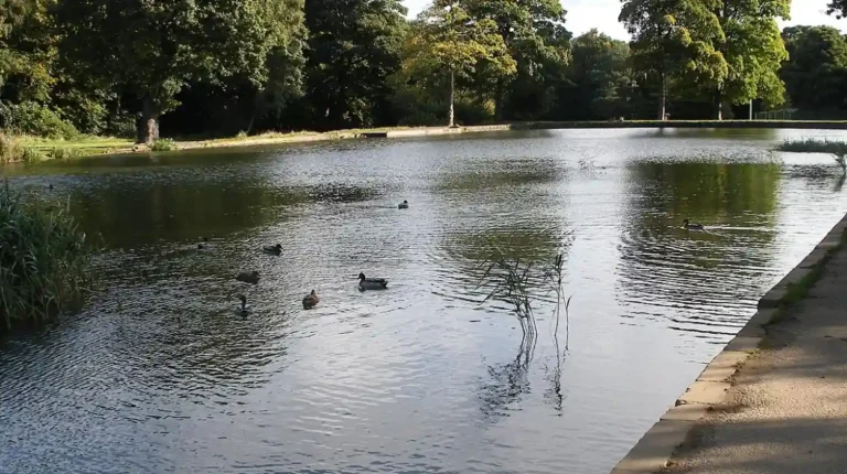 Anti‑social behaviour in Middleton parks