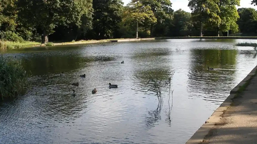 Anti‑social behaviour in Middleton parks