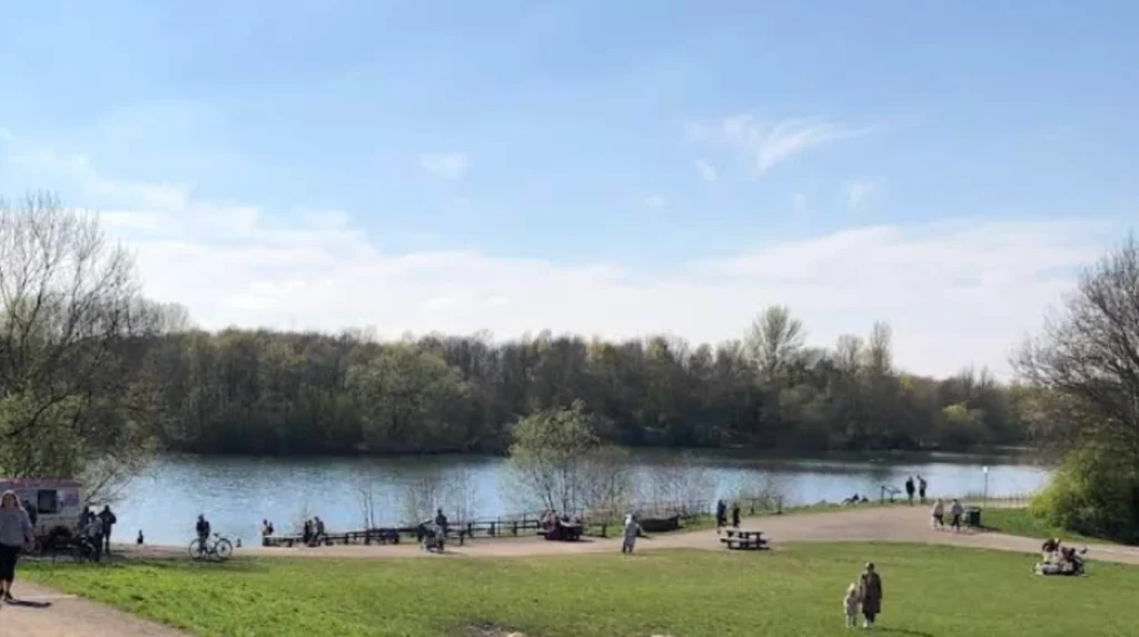 Green Chorlton Hub: Transforming Suburbia with Gardens