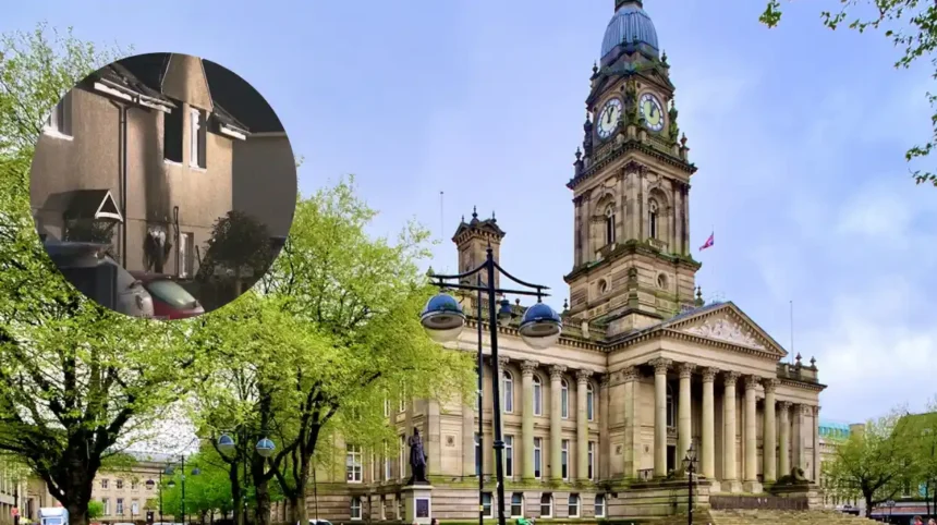 Harry Potter drone spectacle flies