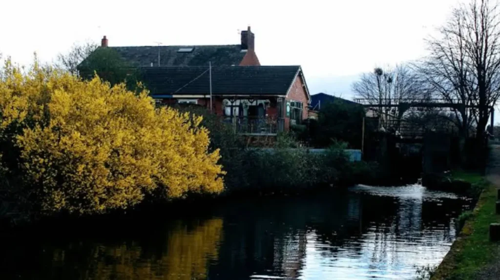 Moss Side Housing Issues: Causes, History, and What Residents Face