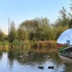 Metrolink Map's Big Tram Update Excites, Manchester 2026