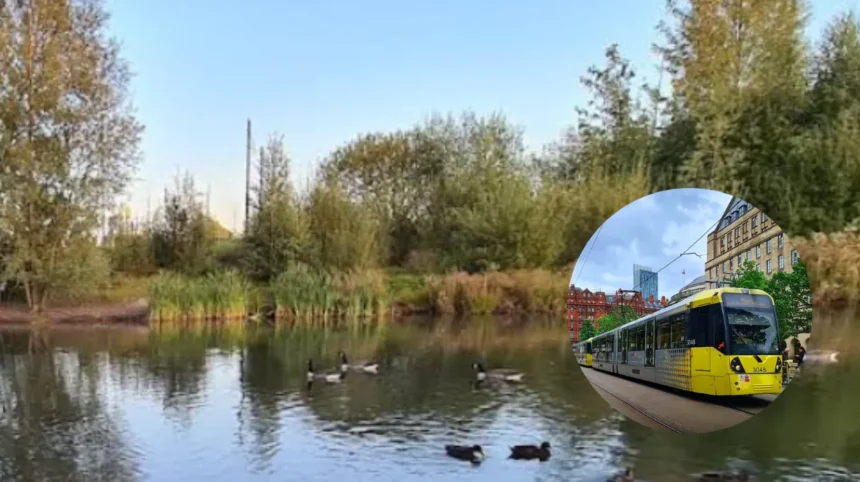 Metrolink Map's Big Tram Update Excites, Manchester 2026
