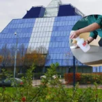 Rossini Restaurant licence revoked over immigration breach , Stockport