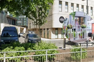 Sky Garden Relocated to Crown Street Primary School Manchester