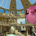 P.Louise City Launches at Trafford Palazzo in July 2026