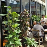 What is Offered on the Garten Bar Manchester Menu