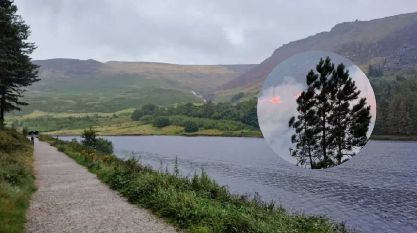 Dove Stone reopens as nature recovers from Saddleworth fires