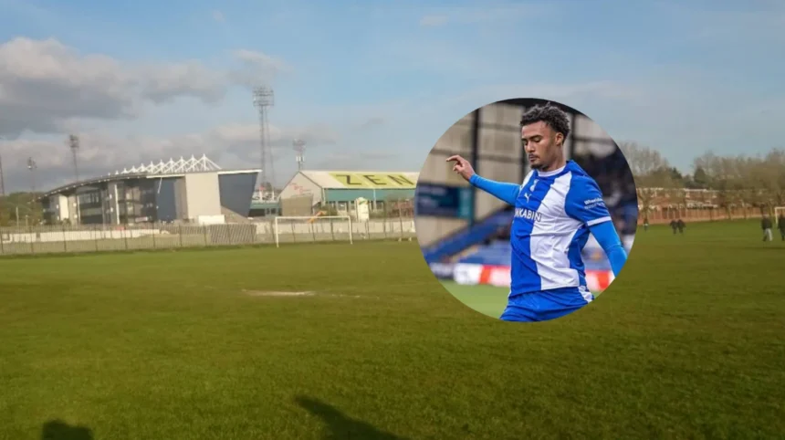 Kane Taylor Rochdale Loan Confirmed Until Januaryc League Two Preview