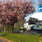 MaBurnage Fog Lane Stabbing