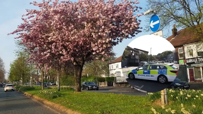 MaBurnage Fog Lane Stabbing