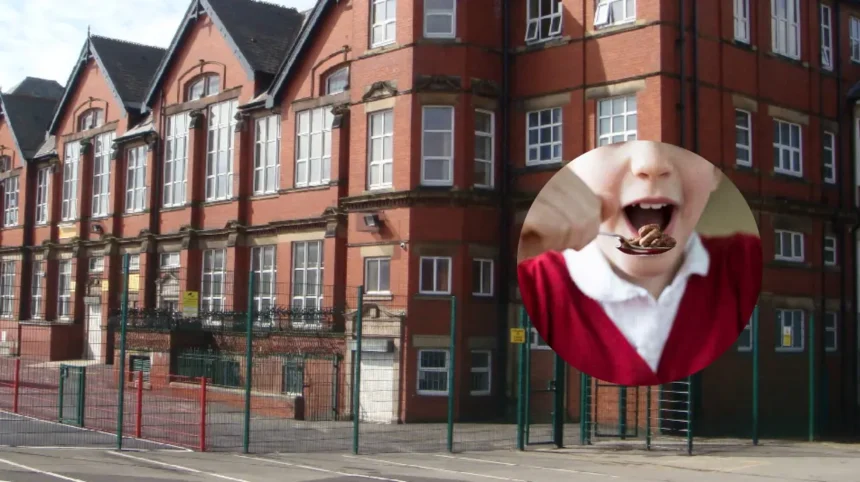 Seven more Rochdale schools join free breakfast clubs programme