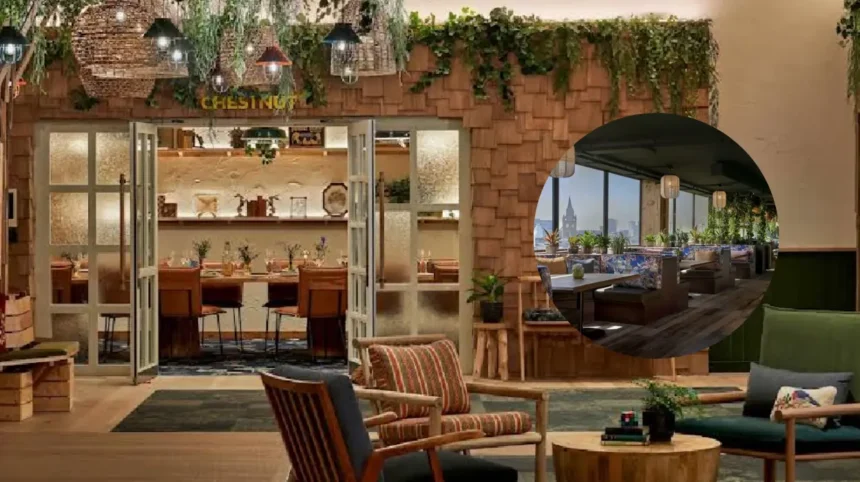 Treehouse Hotel Manchester Adds Rooftop Dining and Suites