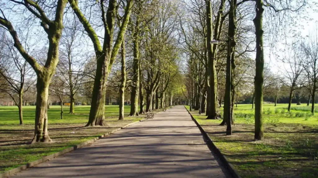 What Are the Best Free Things to Do in Altrincham and Trafford?
