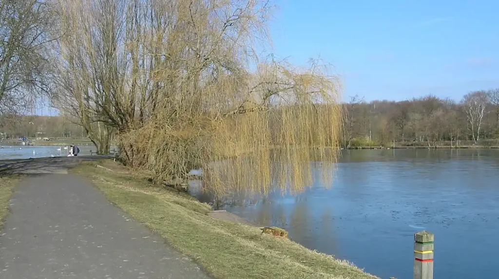 What is the historical and geographical background of Bolton?