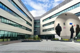 New Tameside Arts Grants Back Cinema and Film Courses 2026