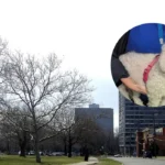 Rochdale Dog Case RSPCA Ban Upheld at Crown Court 2026